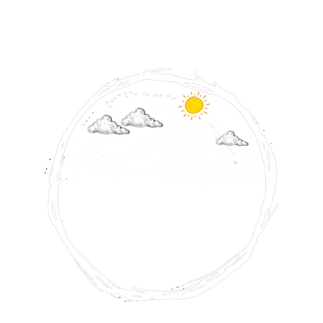 Trip Tin Adventures